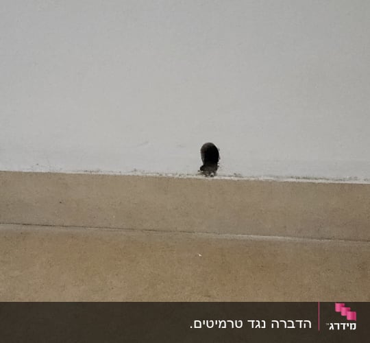 חור בקיר עם סימני לכלוך סביבו